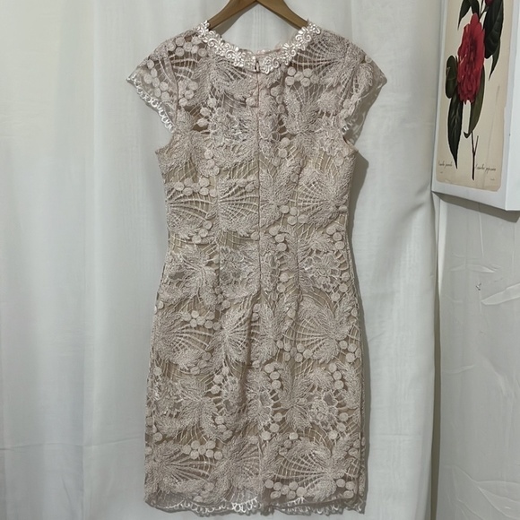 Soieblu Pink Lace Sleeveless Dress with Nude Underlay a175 - Picture 4 of 7